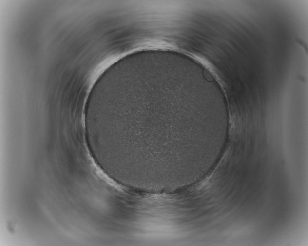 X0000100391335200806130943