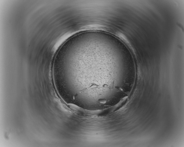 X0000100391336200806130943