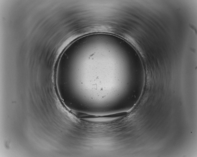 X0000100391339200806130943