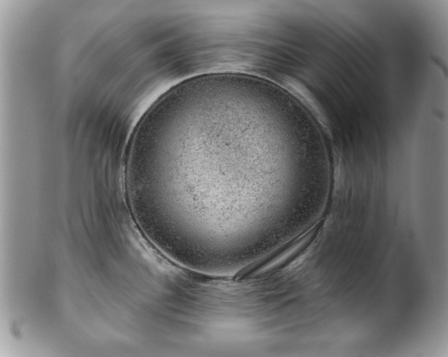 X0000100391340200806130943