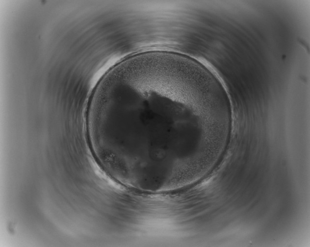 X0000100391341200806130943