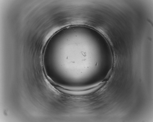 X0000100391342200806130943