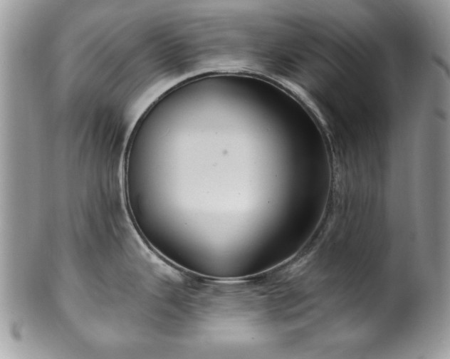 X0000100391343200806130943