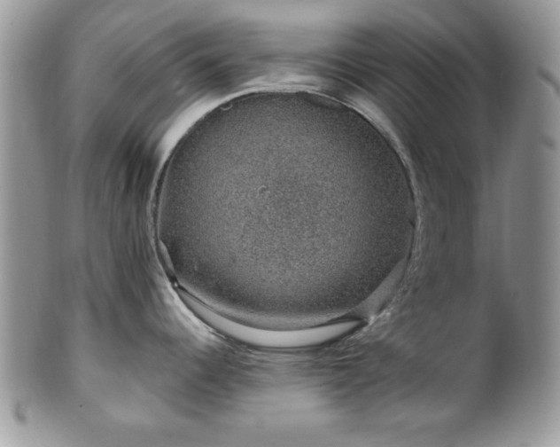 X0000100391344200806130943