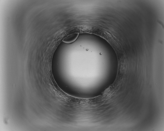 X0000100391345200806130943