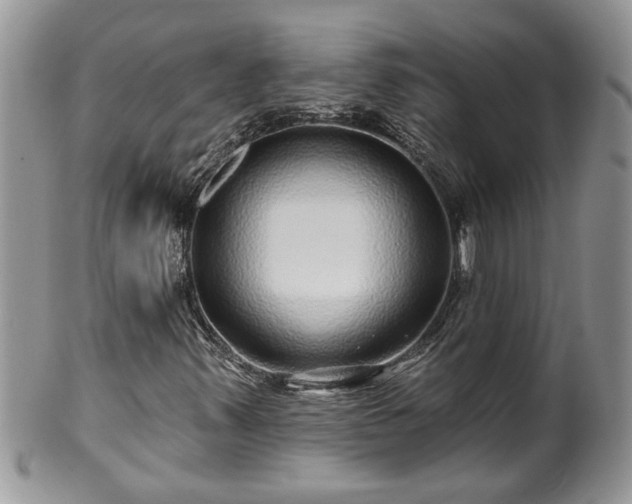 X0000100391347200806130943