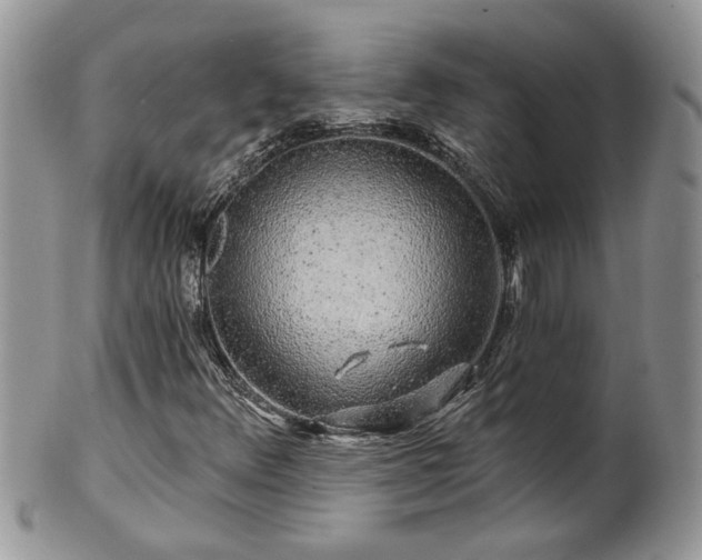 X0000100391348200806130943