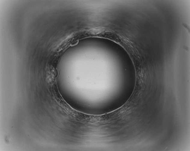 X0000100391349200806130942