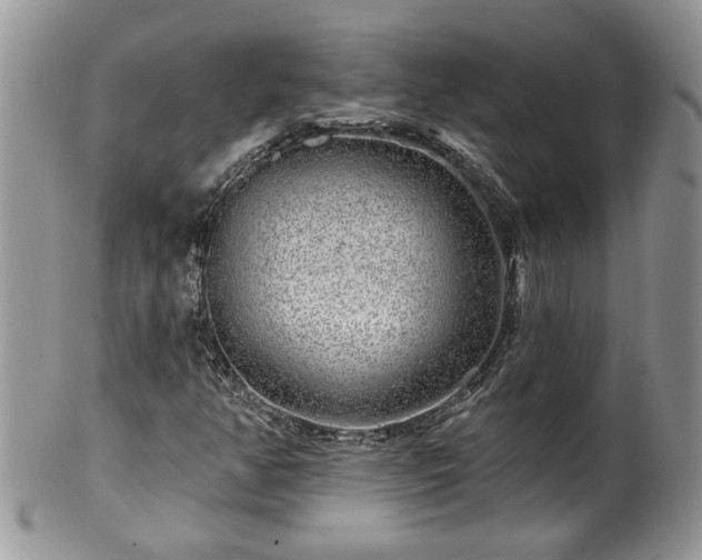 X0000100391350200806130942