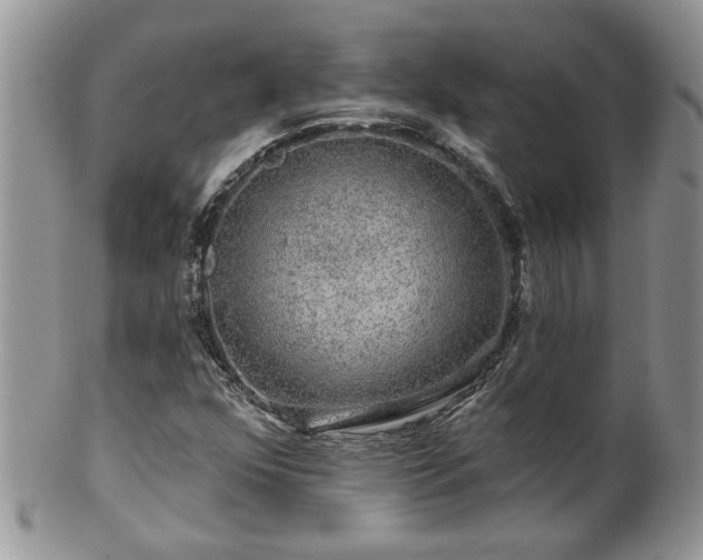 X0000100391352200806130942