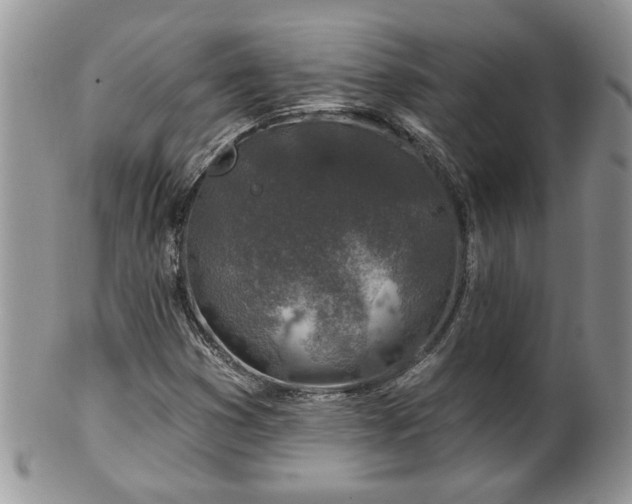 X0000100391353200806130942