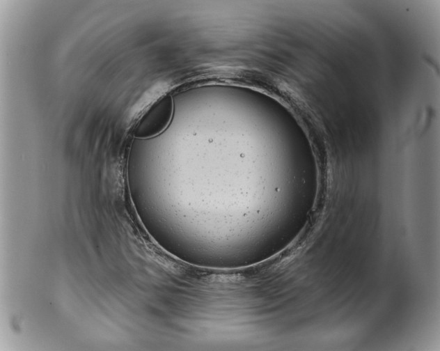 X0000100391354200806130942