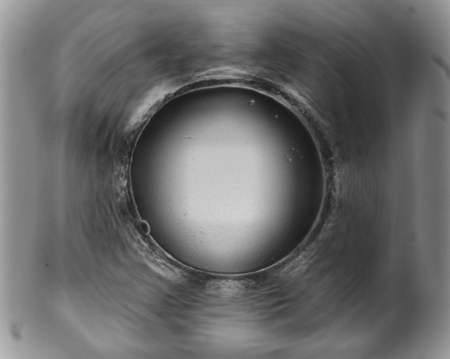 X0000100391355200806130942