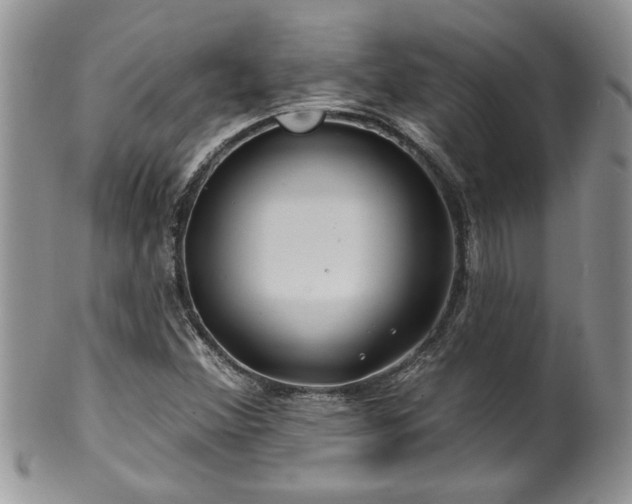 X0000100391356200806130942