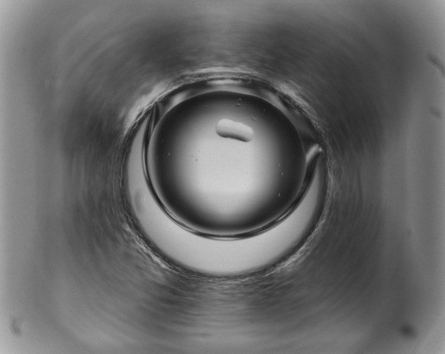 X0000100391357200806130942