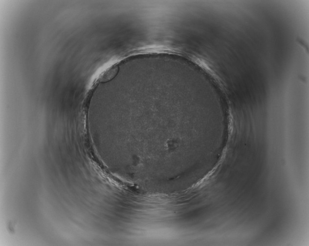 X0000100391358200806130942