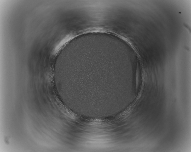 X0000100391359200806130942