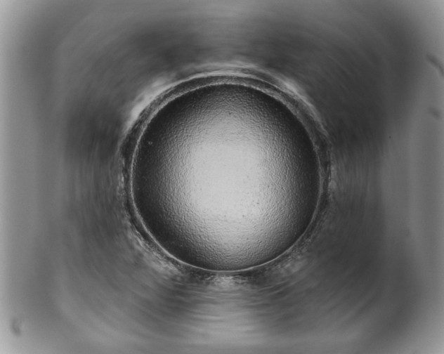 X0000100391360200806130942