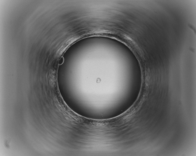 X0000100391361200806130942