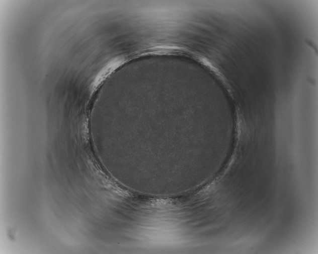 X0000100391362200806130942