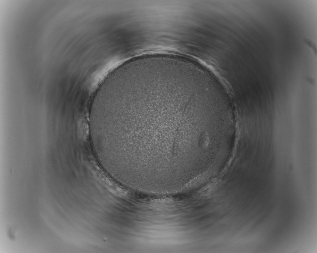 X0000100391363200806130942