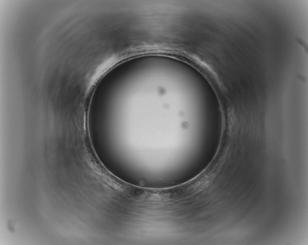 X0000100391365200806130942