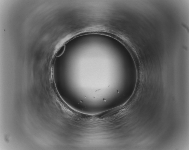 X0000100391366200806130942