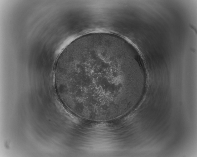 X0000100391367200806130942