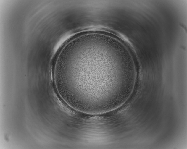 X0000100391368200806130942