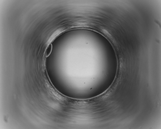 X0000100391370200806130942