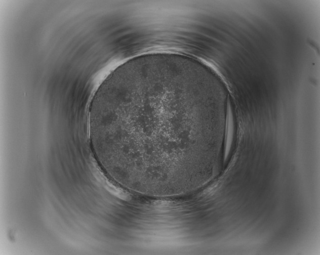 X0000100391371200806130942