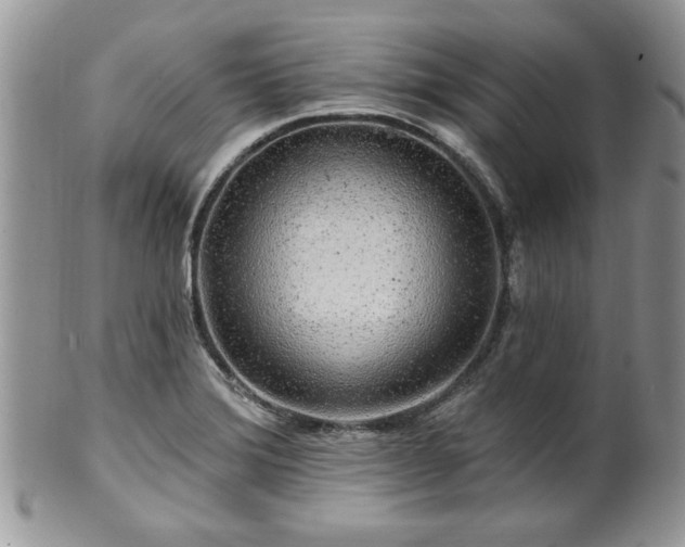 X0000100391372200806130942