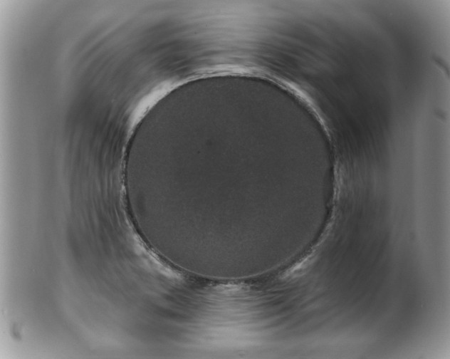 X0000100391373200806130942