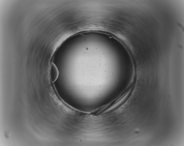 X0000100391374200806130942