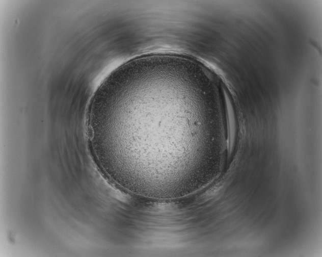 X0000100391375200806130942