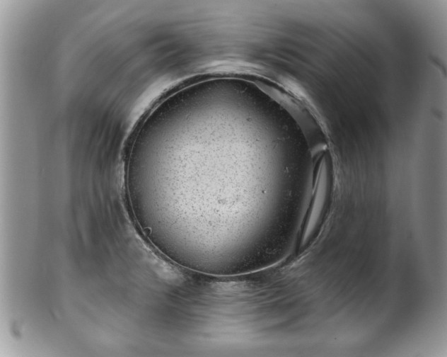 X0000100391376200806130942