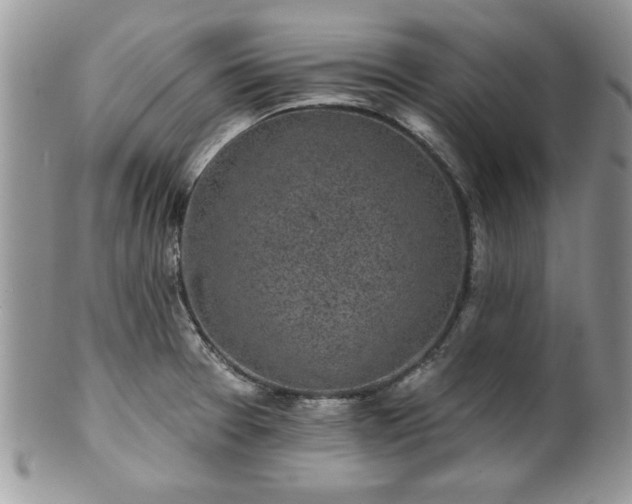 X0000100391377200806130942