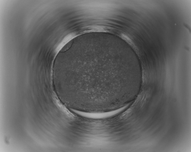 X0000100391378200806130942