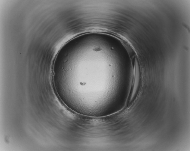 X0000100391379200806130942