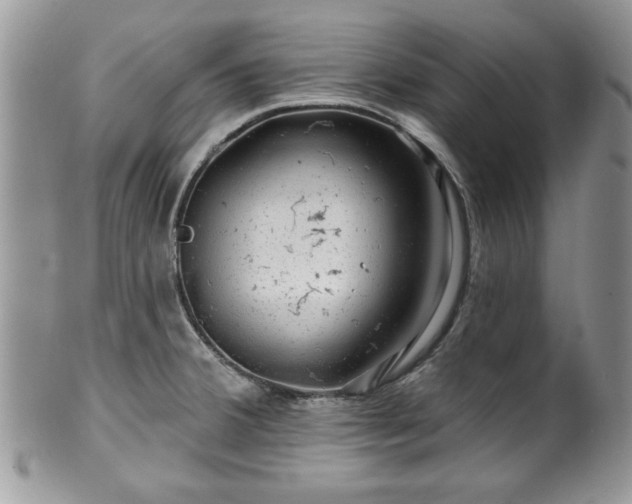 X0000100391380200806130942