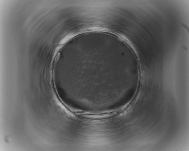 X0000100391381200806130942