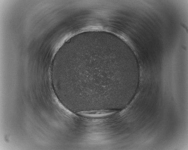 X0000100391382200806130942