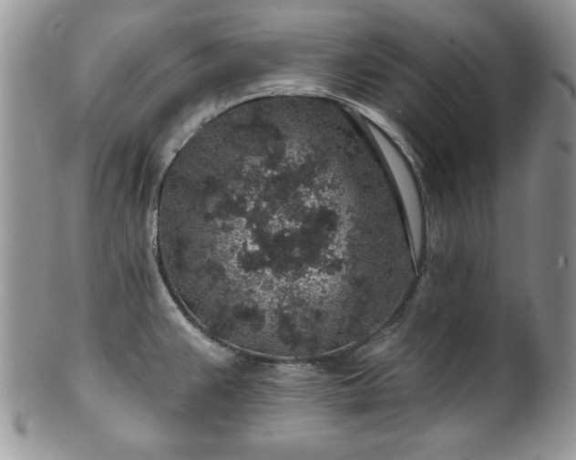 X0000100391383200806130942