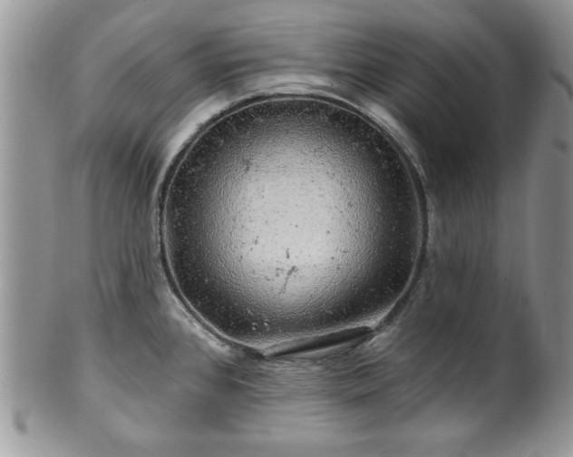 X0000100391384200806130942