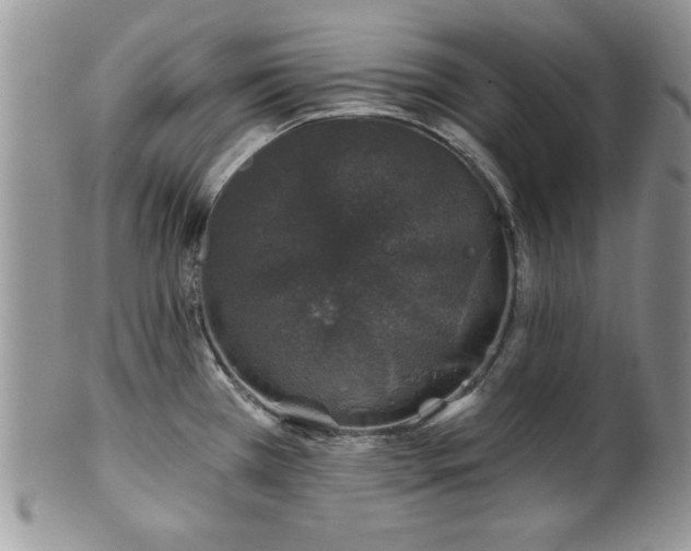 X0000100391385200806130942