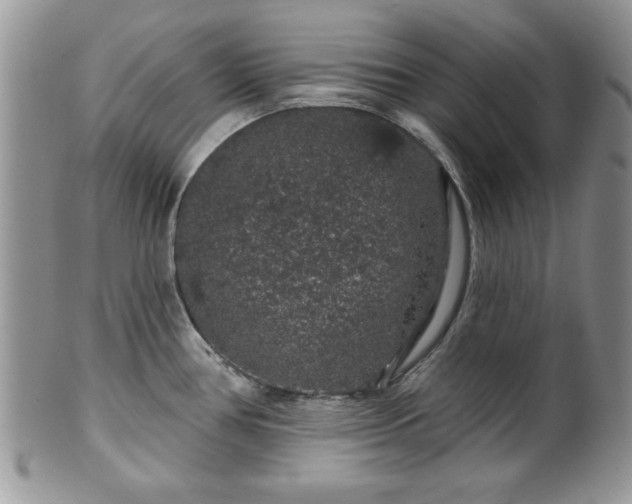 X0000100391386200806130942