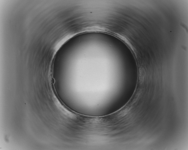 X0000100391387200806130942