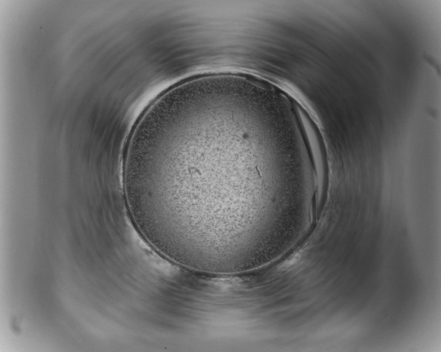 X0000100391388200806130942