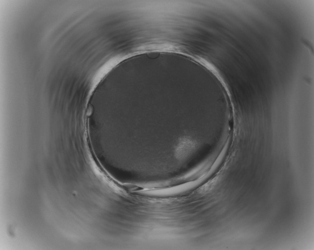 X0000100391389200806130942