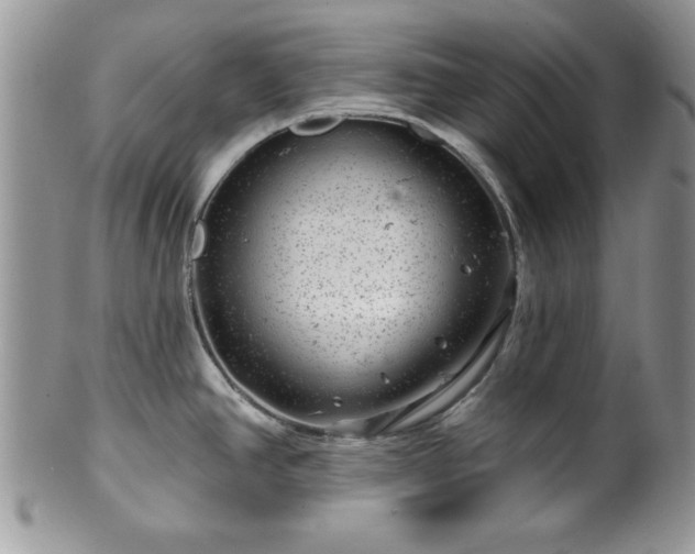 X0000100391390200806130942